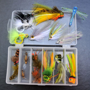 Flies, Indicators, Vice Bases