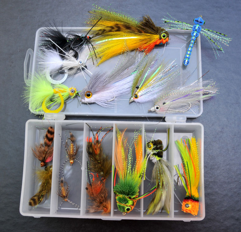 Flies, Indicators, Vice Bases