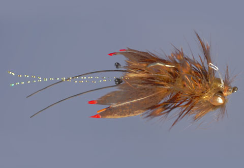 Whitlock's NearNuff Crayfish - golden brown - Dave & Emily Whitlock