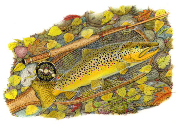 Homepage Dave Emily Whitlock Fly Fishing