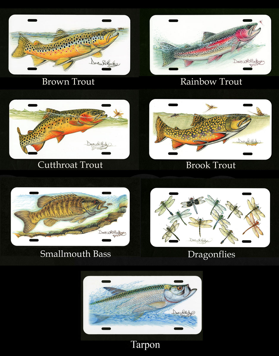 thumbnail image 2 of Brook Trout Fly Fishing Car Front License Plate 6 X 12 Inch 2 of 14